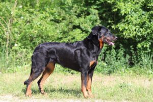 k img 0676